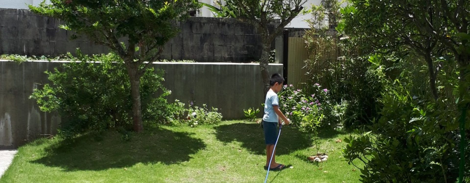 豊かな木の香りのなかで健康に暮らす。ワンランク上の木造住宅｜木の家 グリーンハウス